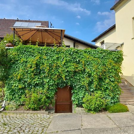 Wolfsbergblick Reinhardtsdorf-Schona Exterior foto