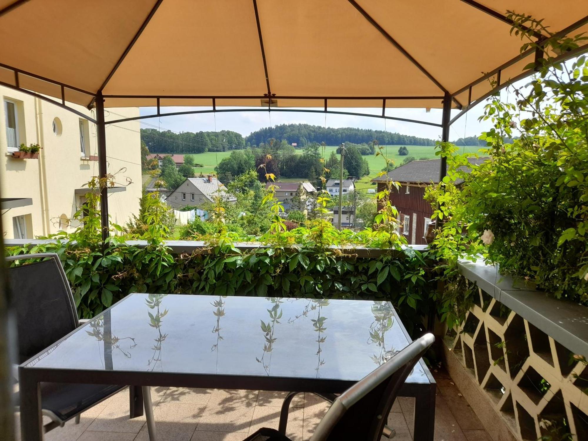 Wolfsbergblick Reinhardtsdorf-Schona Exterior foto